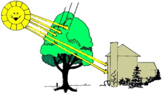 Drawing of a house with a large tree in leaf next to it. There is a sun and its rays are mostly blocked by the tree and most rays do not reach the house. 