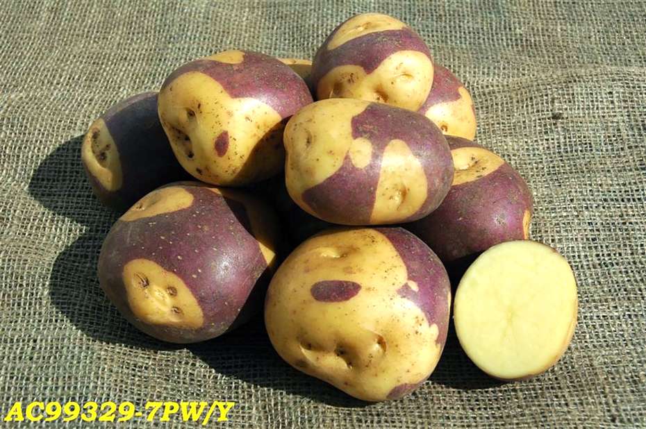 Masquerade Potatoes