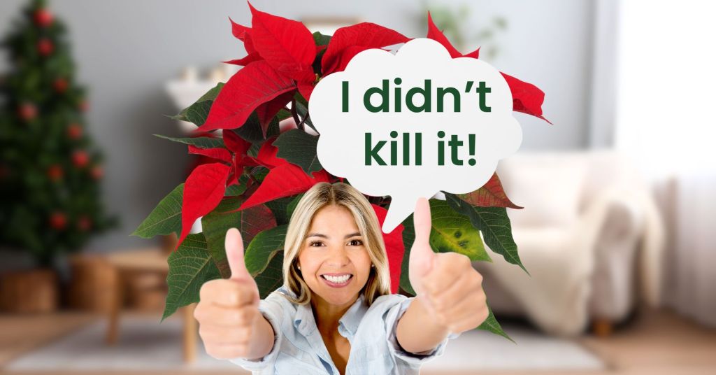 An illustration of a woman giving double thumbs up with a speech bubble that contains the text: I didn't kill it!