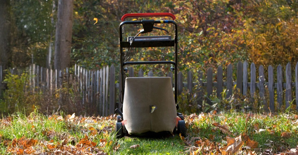 A lawn mower surrounded by leaves with a mowed path through the leaves leading up to it with green grass visible in the mower's path