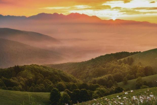 Sunset over green rolling hills with trees and flowers. A misty fog covers the valley and pink-y/orange hues fill the sky.