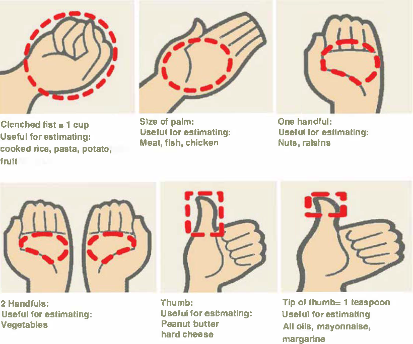 Illustrated guide showing hand-based portion sizes: a clenched fist equals one cup for foods like rice or fruit, palm size estimates meat or fish, one handful estimates nuts or raisins, two handfuls estimate vegetables, a thumb estimates peanut butter or hard cheese, and the tip of the thumb equals one teaspoon for oils or spreads.