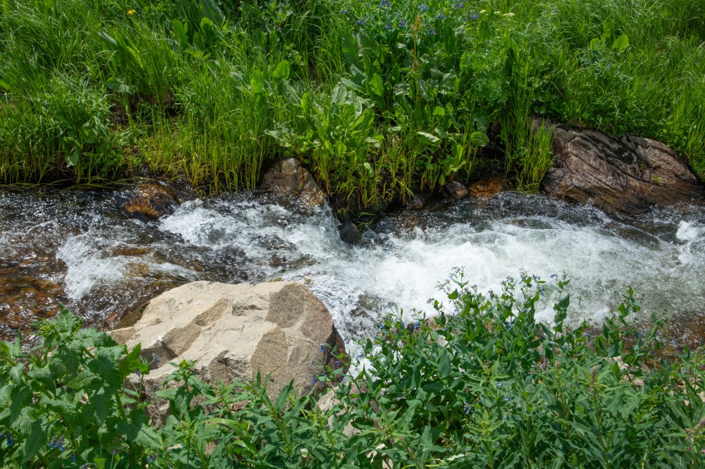 Bubbling clear mountain water splashing down the mountain side in north Colorado, USA