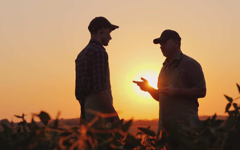 2 men talk in a field with a setting sun behind them