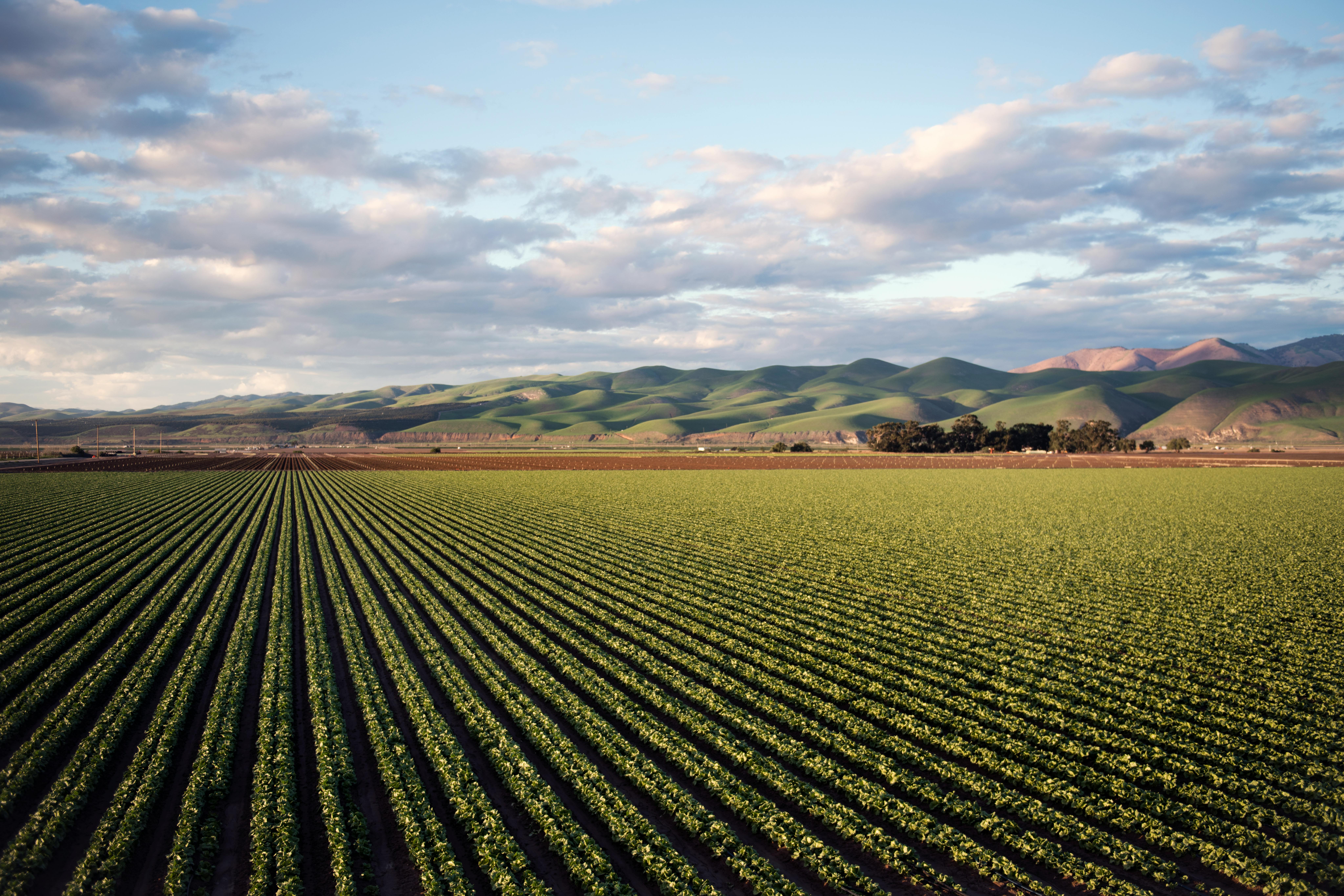 Social Tools Extension ABM Resources | Colorado State University Extension