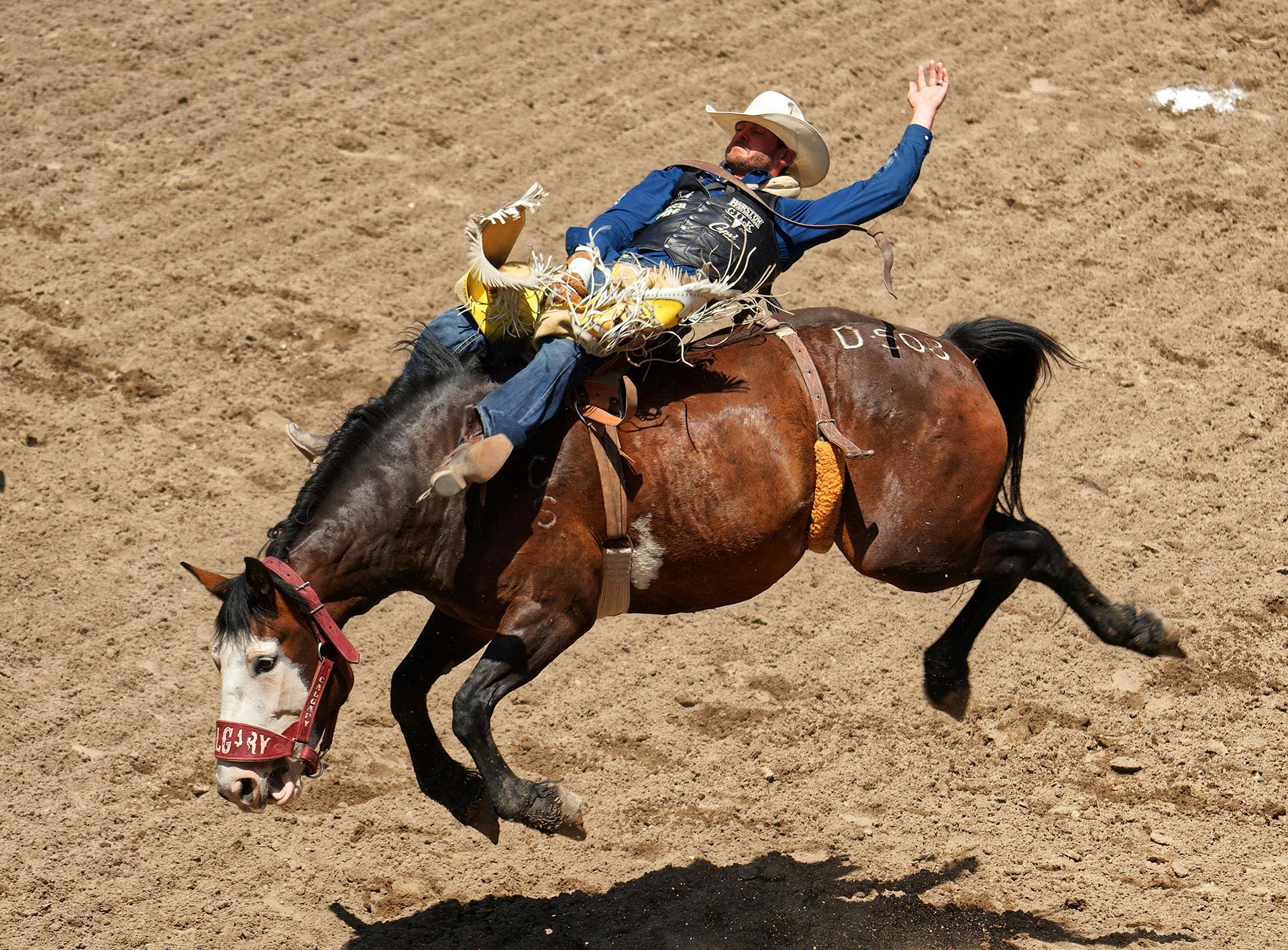 2026 Baca County Fair and Rodeo - Springfield, CO