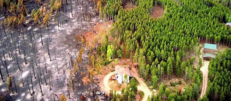 Rock Fire Designing Wildfire-Resilient Landscapes | Colorado State University ...