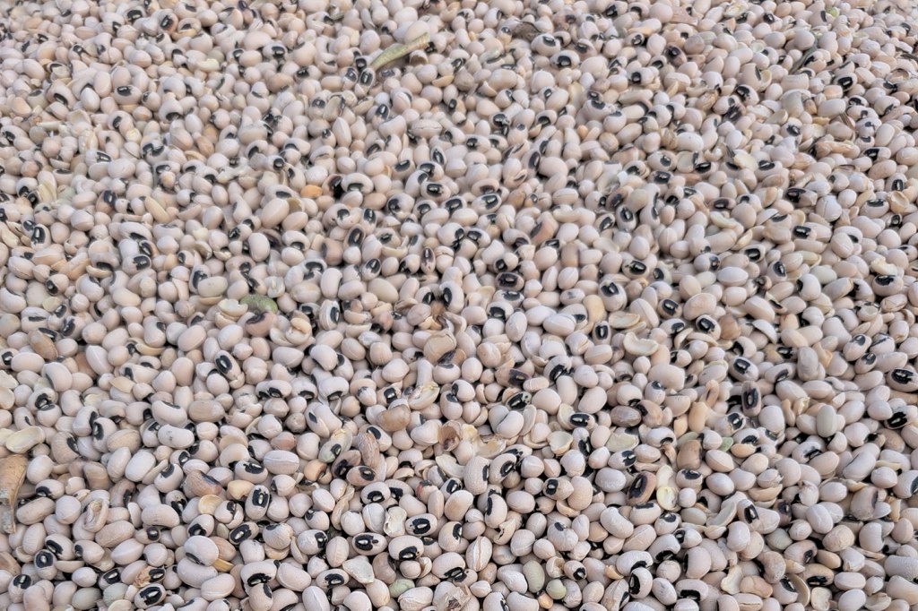 Black eyed peas