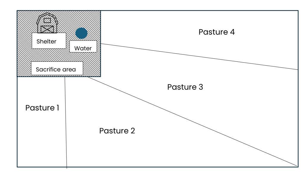 Diagram showing a pasture layout divided into four sections labeled Pasture 1 through Pasture 4, with a fenced sacrifice area containing a shelter and water source connected to the larger grazing areas.