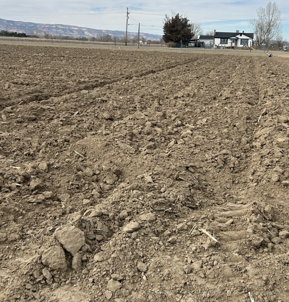 Plowed agricultural field with dry, uneven soil in the foreground, with a house, trees, utility poles, and distant mountains in the background.