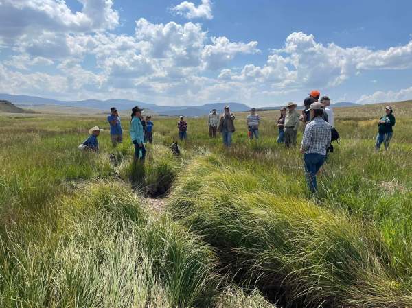 group of people in a grassy field