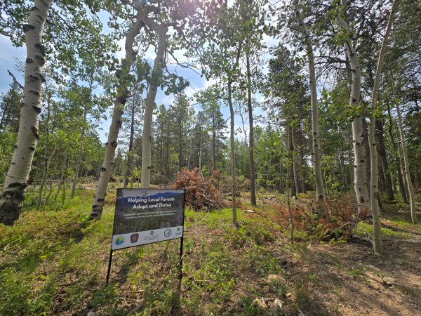a sign leads visitors into a forest trail