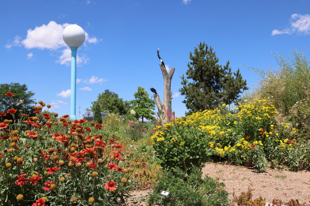 Photo of the Adams County Xeric Garden with flowers and plants
