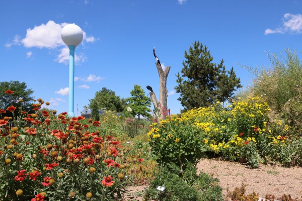 Photo of the Adams County Xeric Garden with flowers and plants