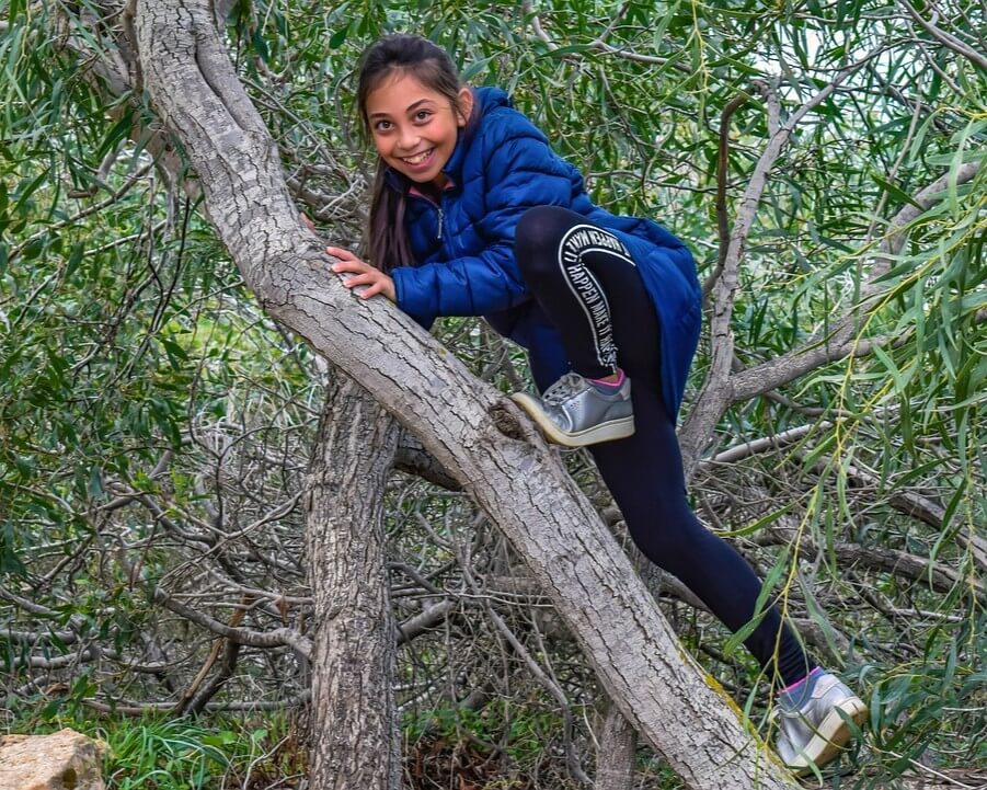 A child climbs among the branches of a tree surrounded by green foliage.