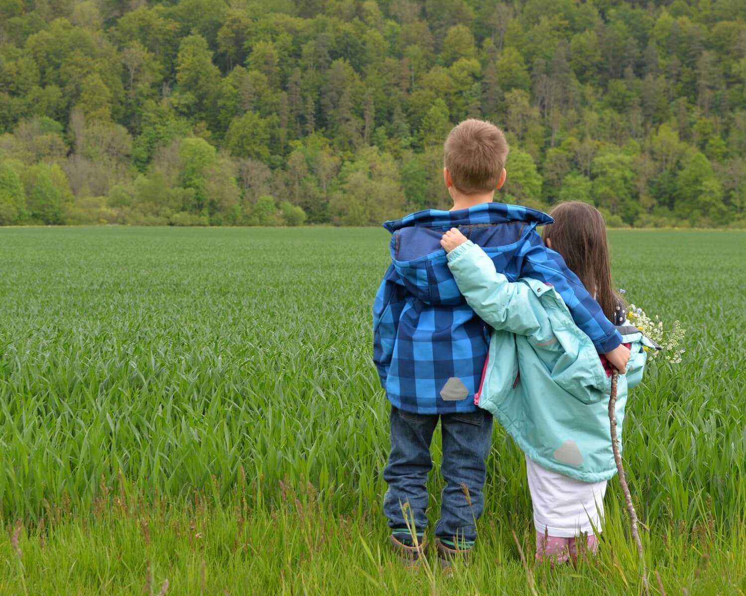 Two children stand together at the edge of a green field, looking toward a forest in the distance.
