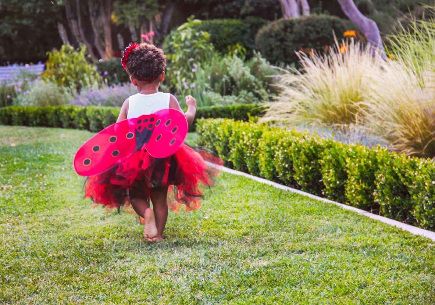 A child wearing a ladybug costume walks across a lawn in a landscaped garden.