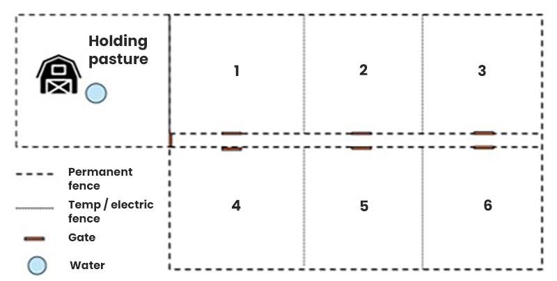 Pasture Diagram